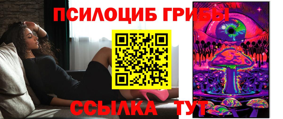 Фролово  Псилоцибиновые грибы Cubensis  Вход с VPN 